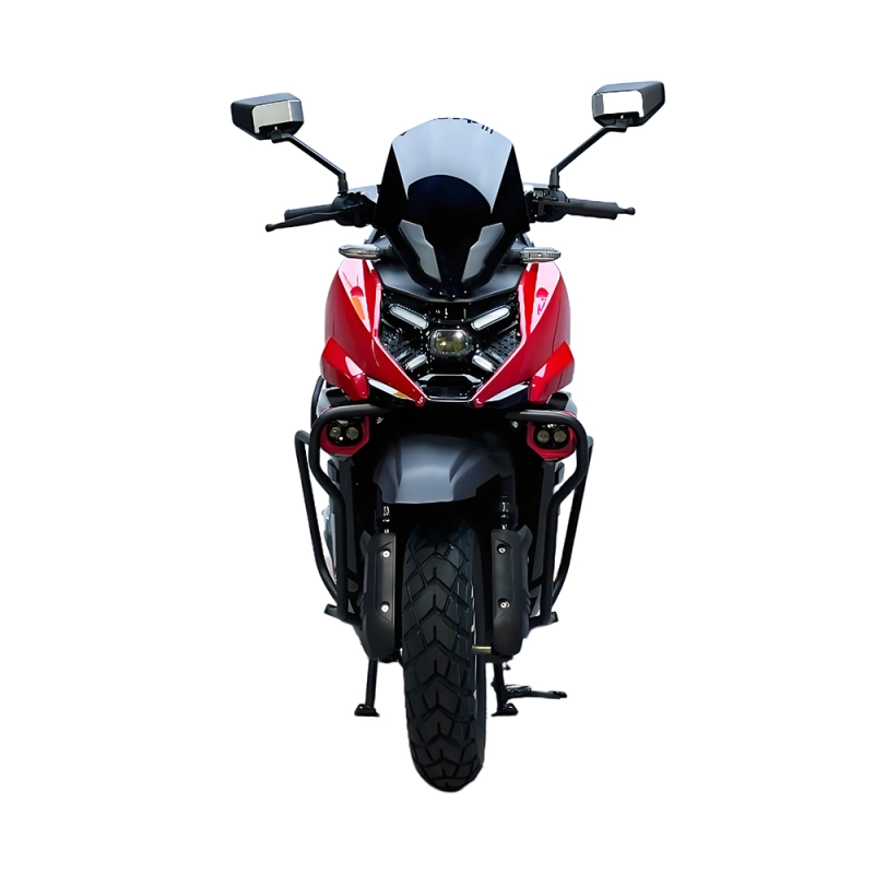WS High Speed Electric Motorcycle