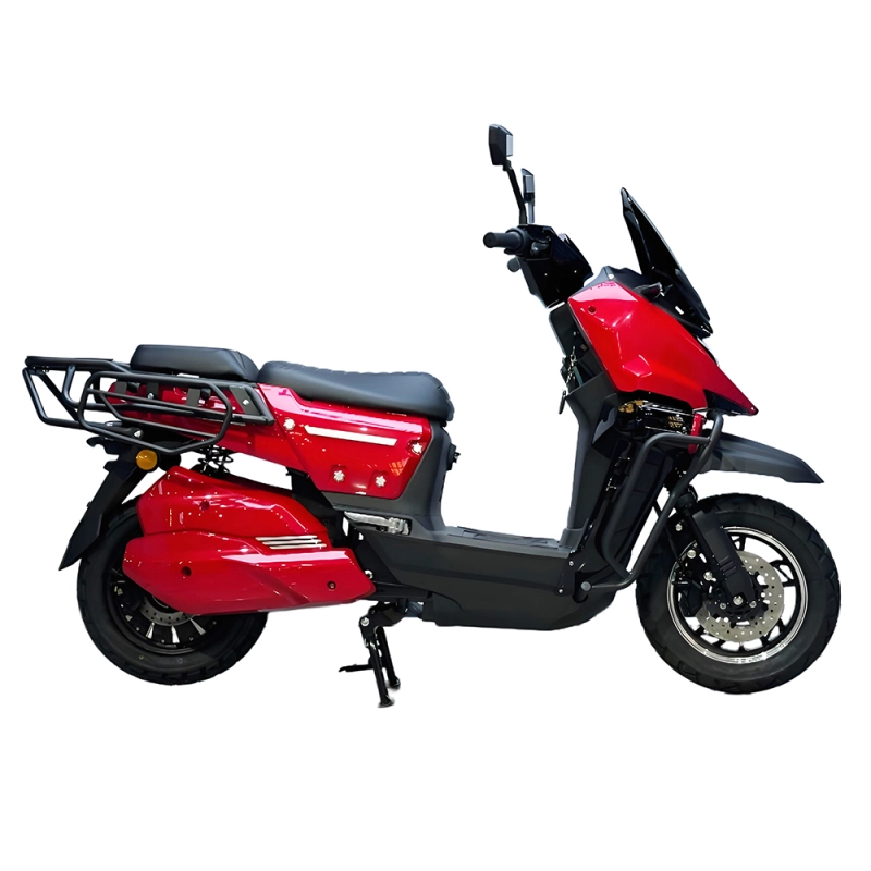 WS High Speed Electric Motorcycle