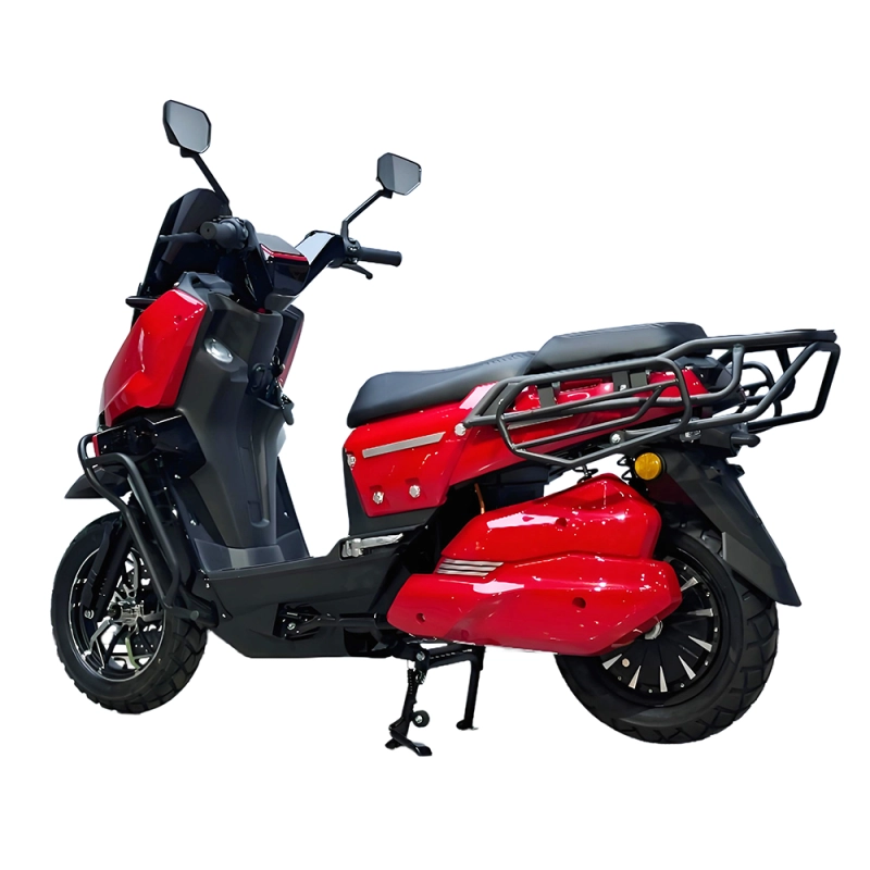 WS High Speed Electric Motorcycle
