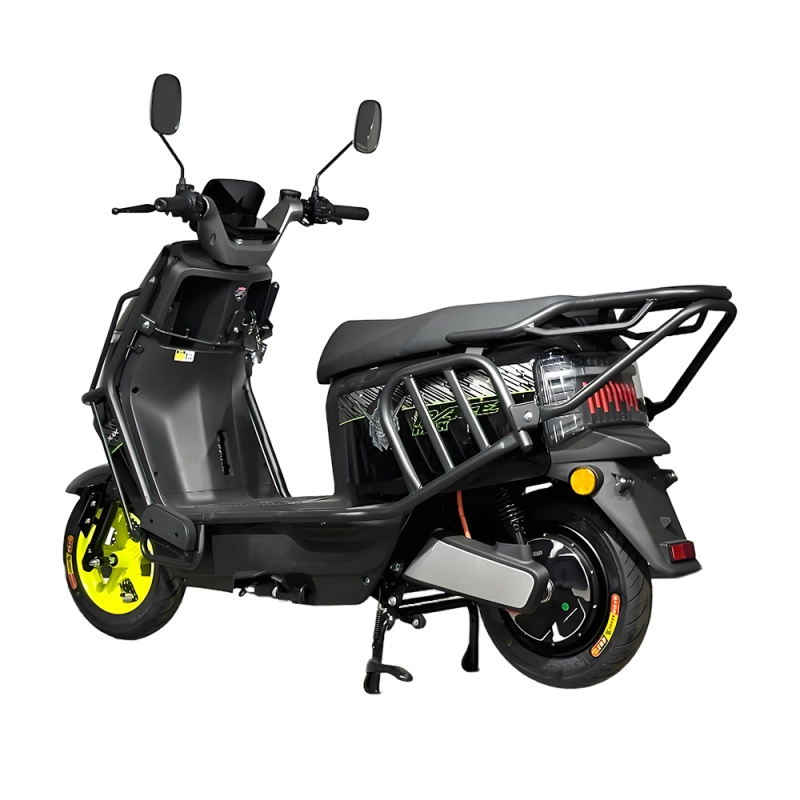 LS Electric Scooter