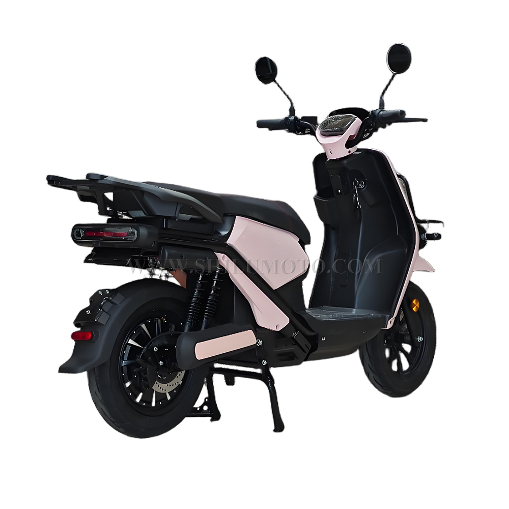 CN Battery Replacement Delivery Electric Scooter