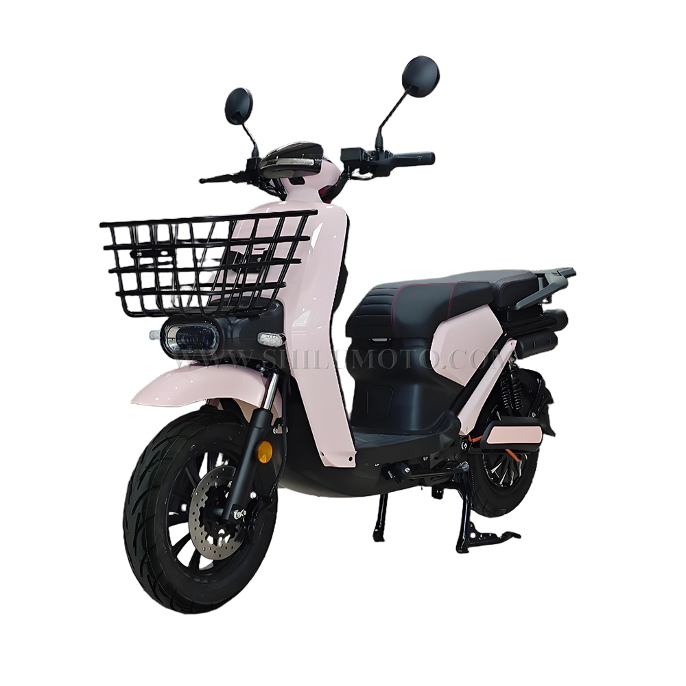 CN Battery Replacement Delivery Electric Scooter