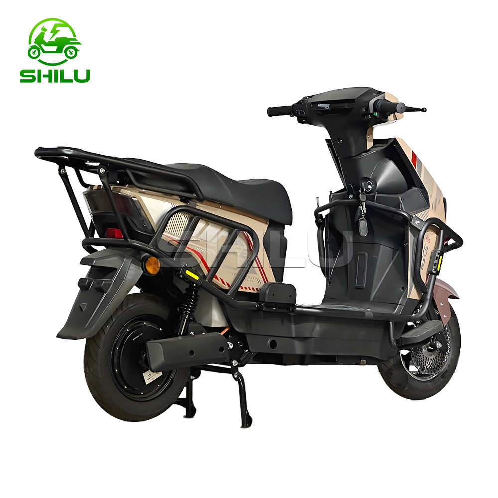 ZB New Electric Scooter