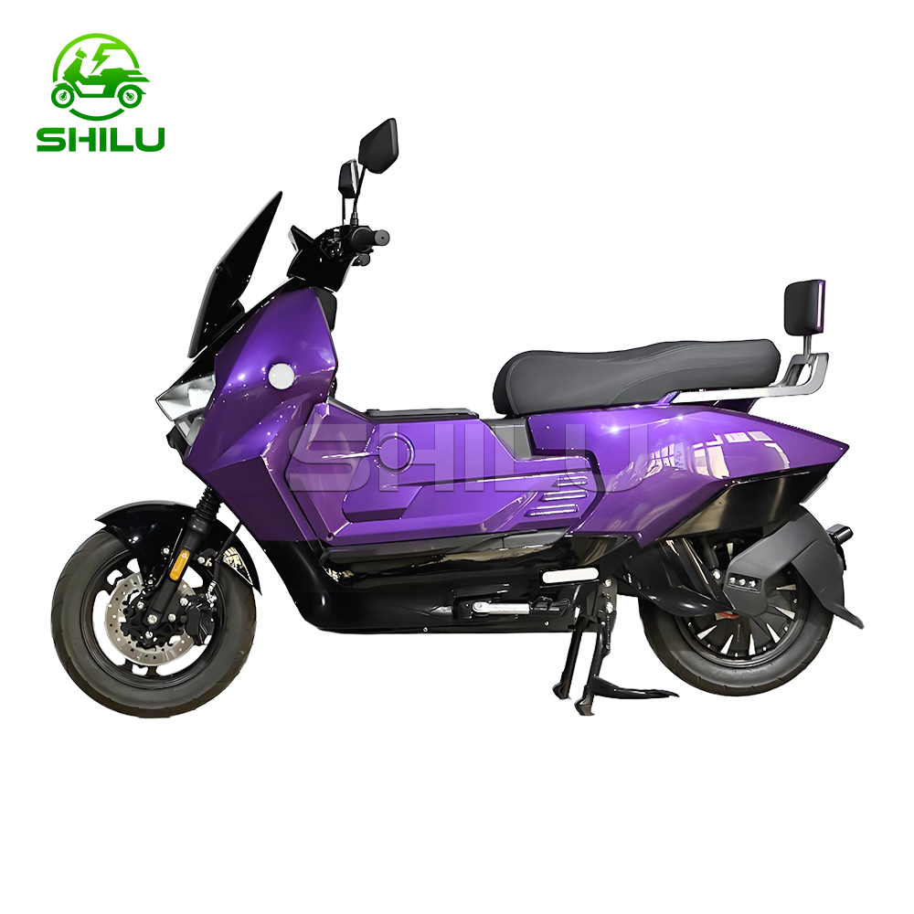 SZZ Electric Scooter