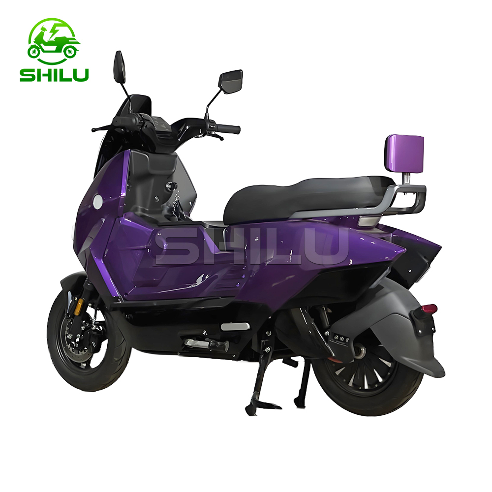 SZZ Electric Scooter