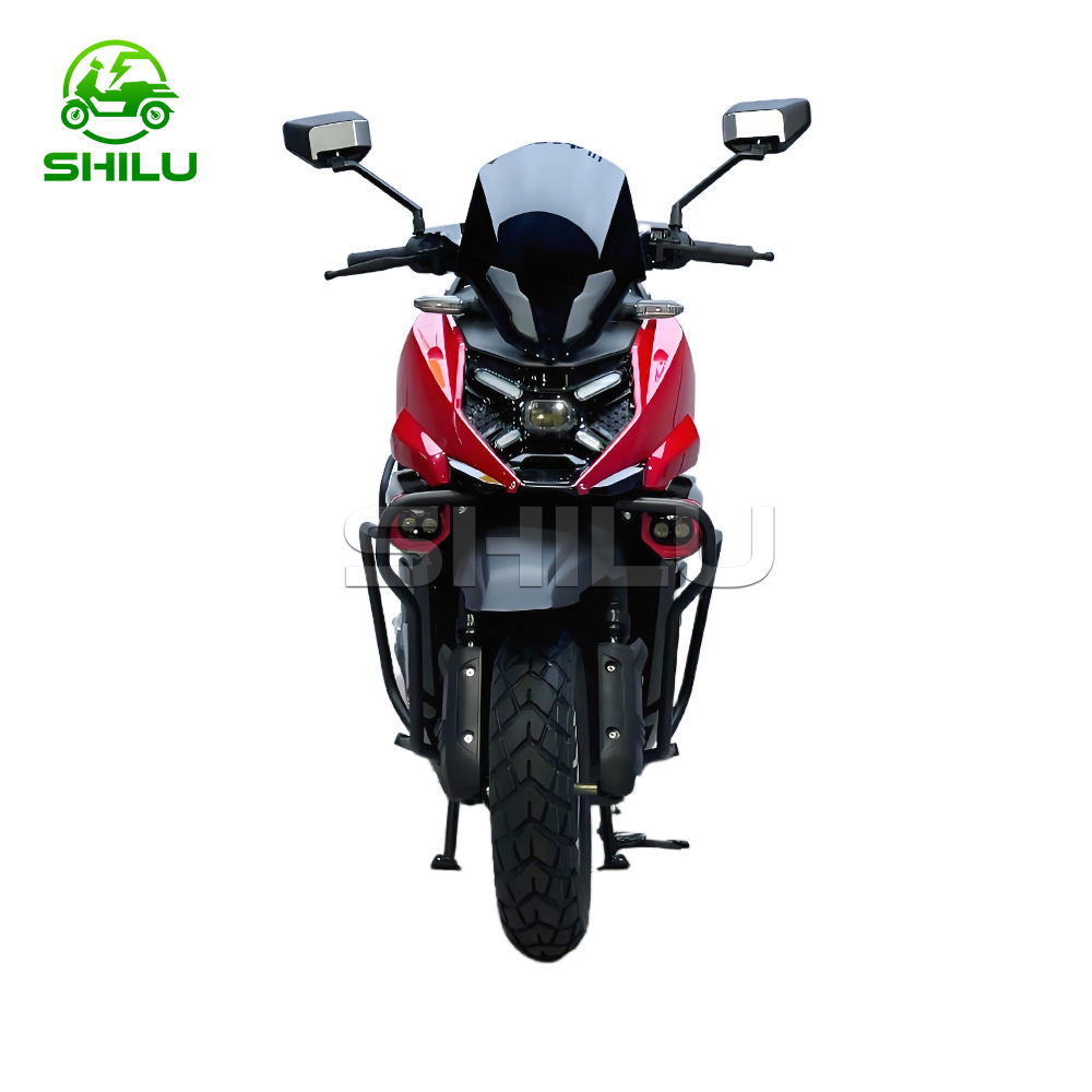 WS High Speed Electric Motorcycle