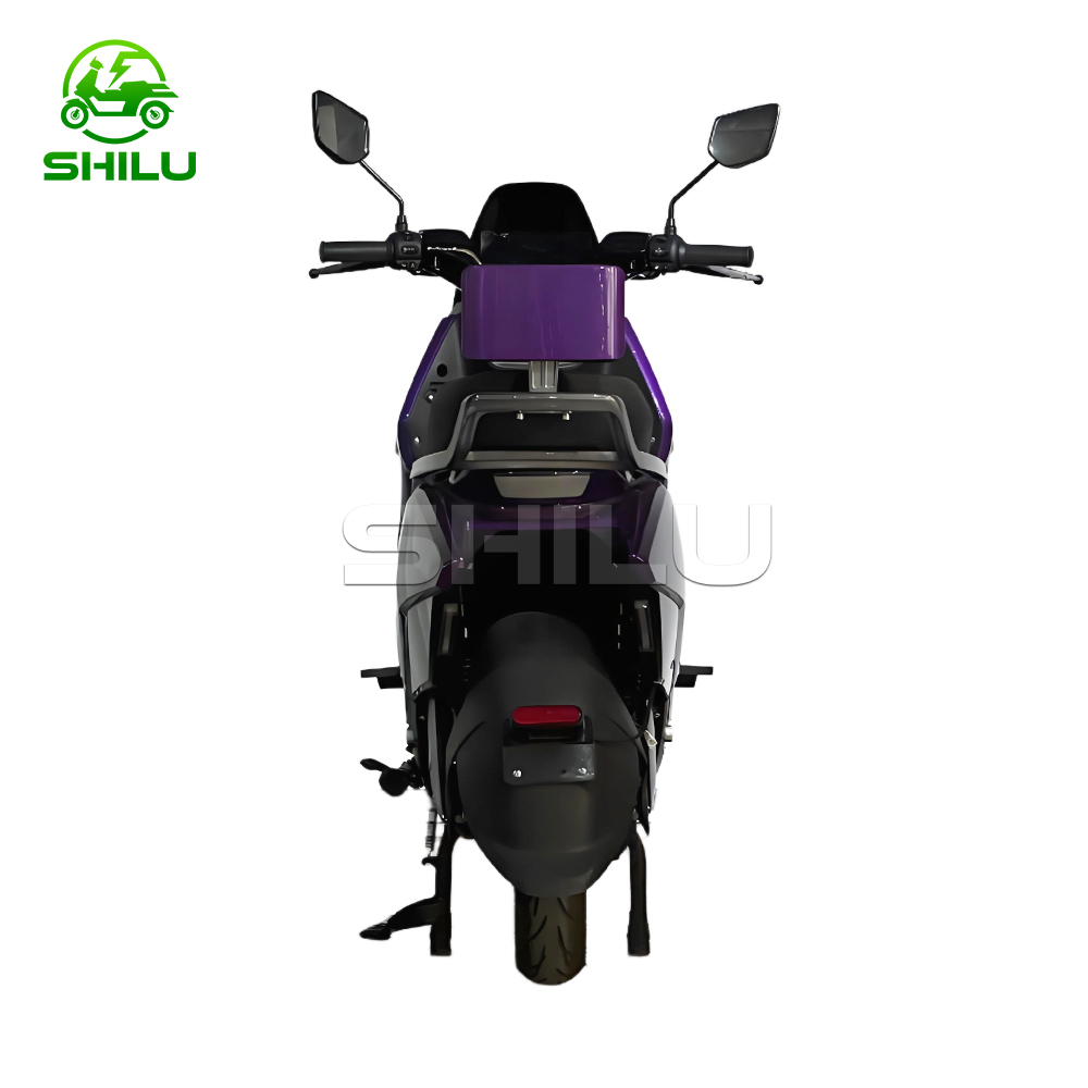 SZZ Electric Scooter