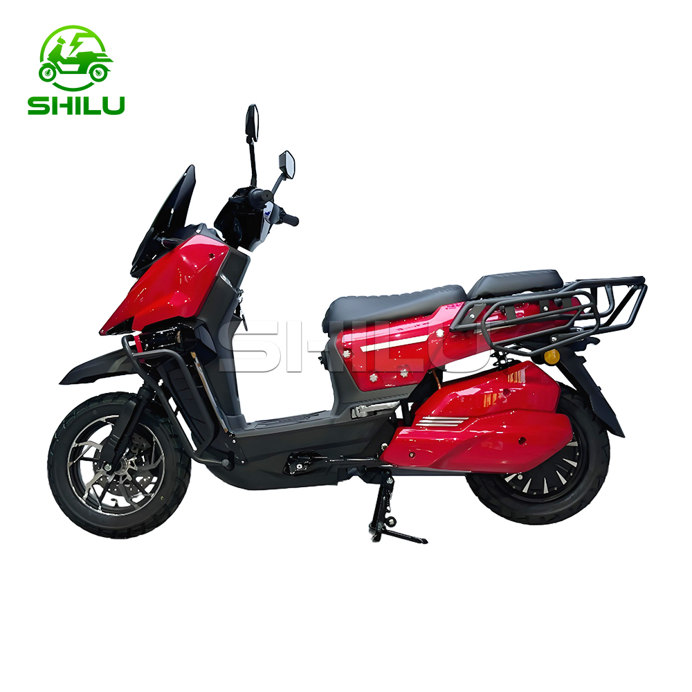 WS High Speed Electric Motorcycle