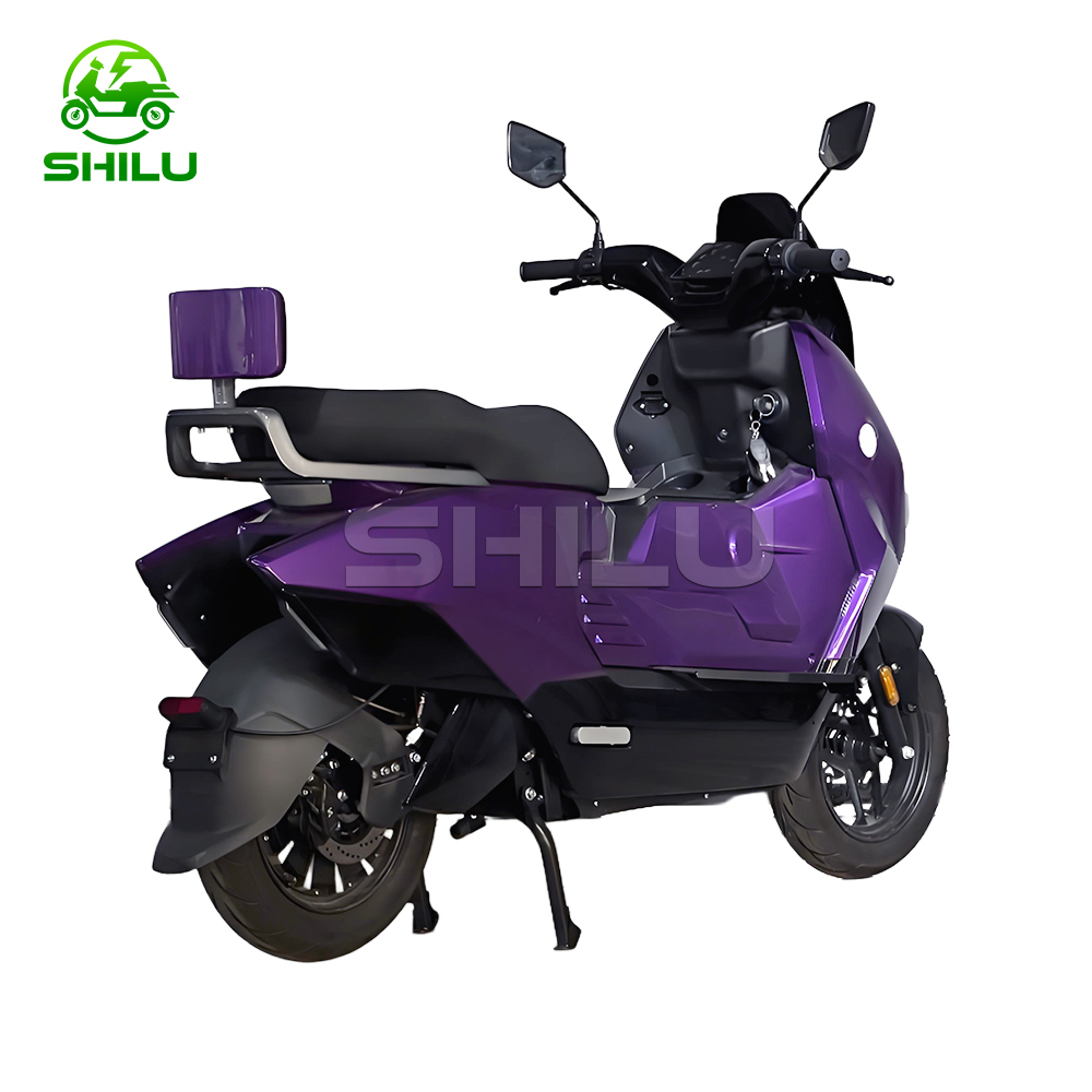 SZZ Electric Scooter