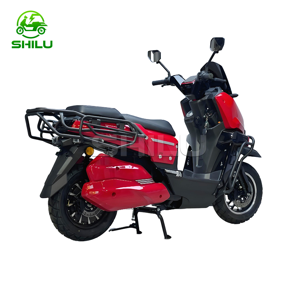 WS High Speed Electric Motorcycle