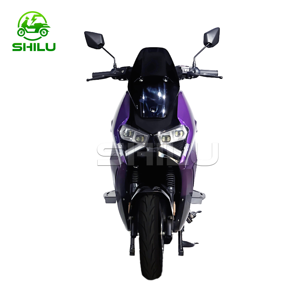 SZZ Electric Scooter