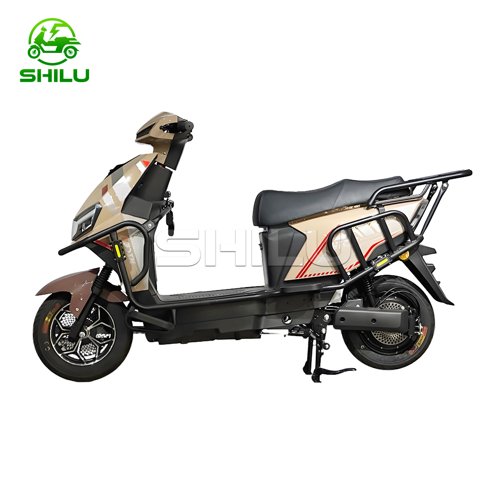 ZB New Electric Scooter