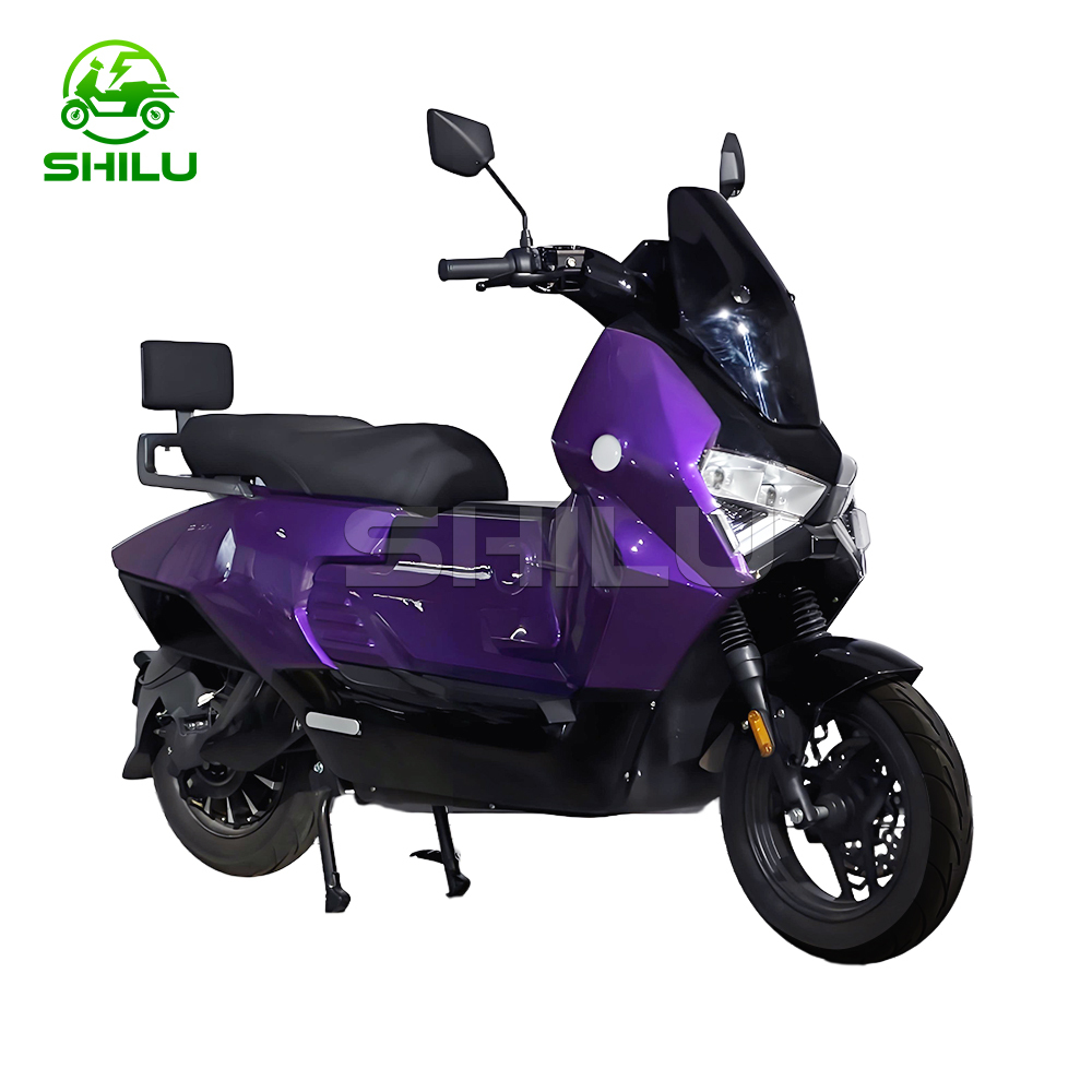 SZZ Electric Scooter