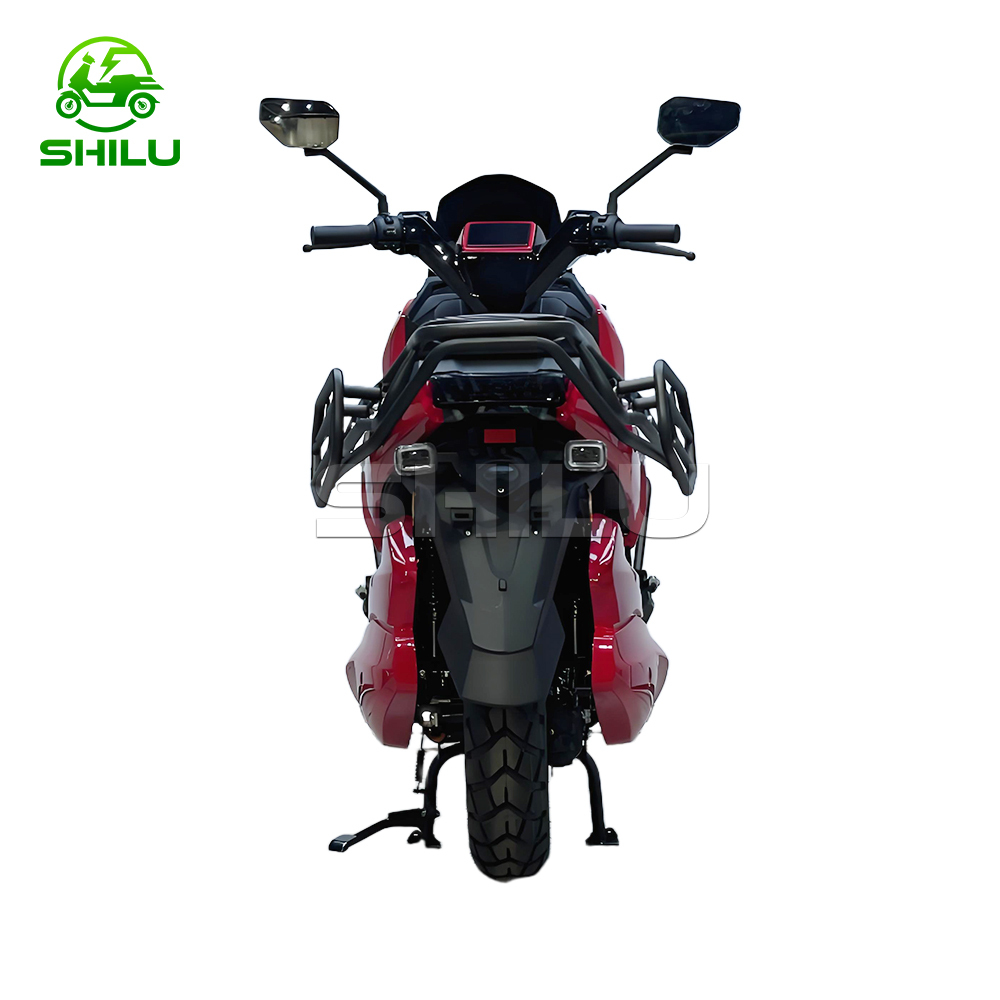 WS High Speed Electric Motorcycle