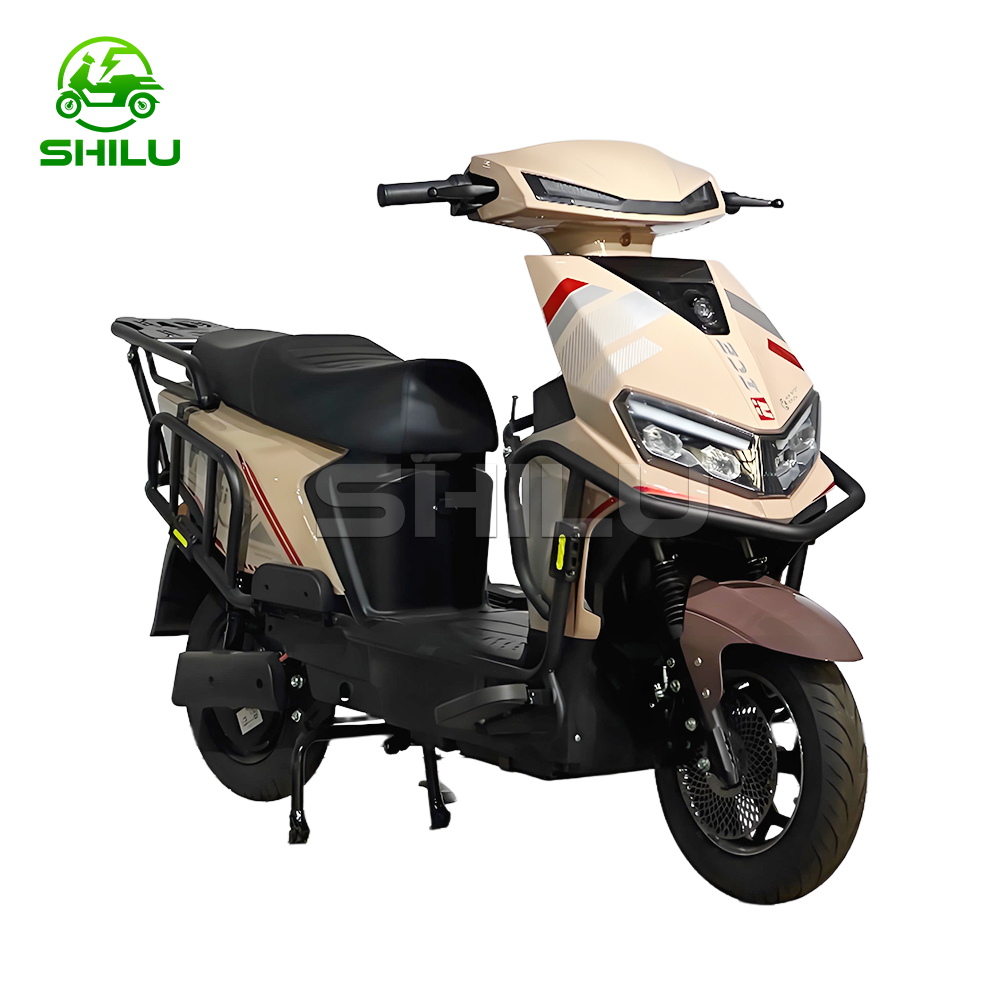 ZB New Electric Scooter
