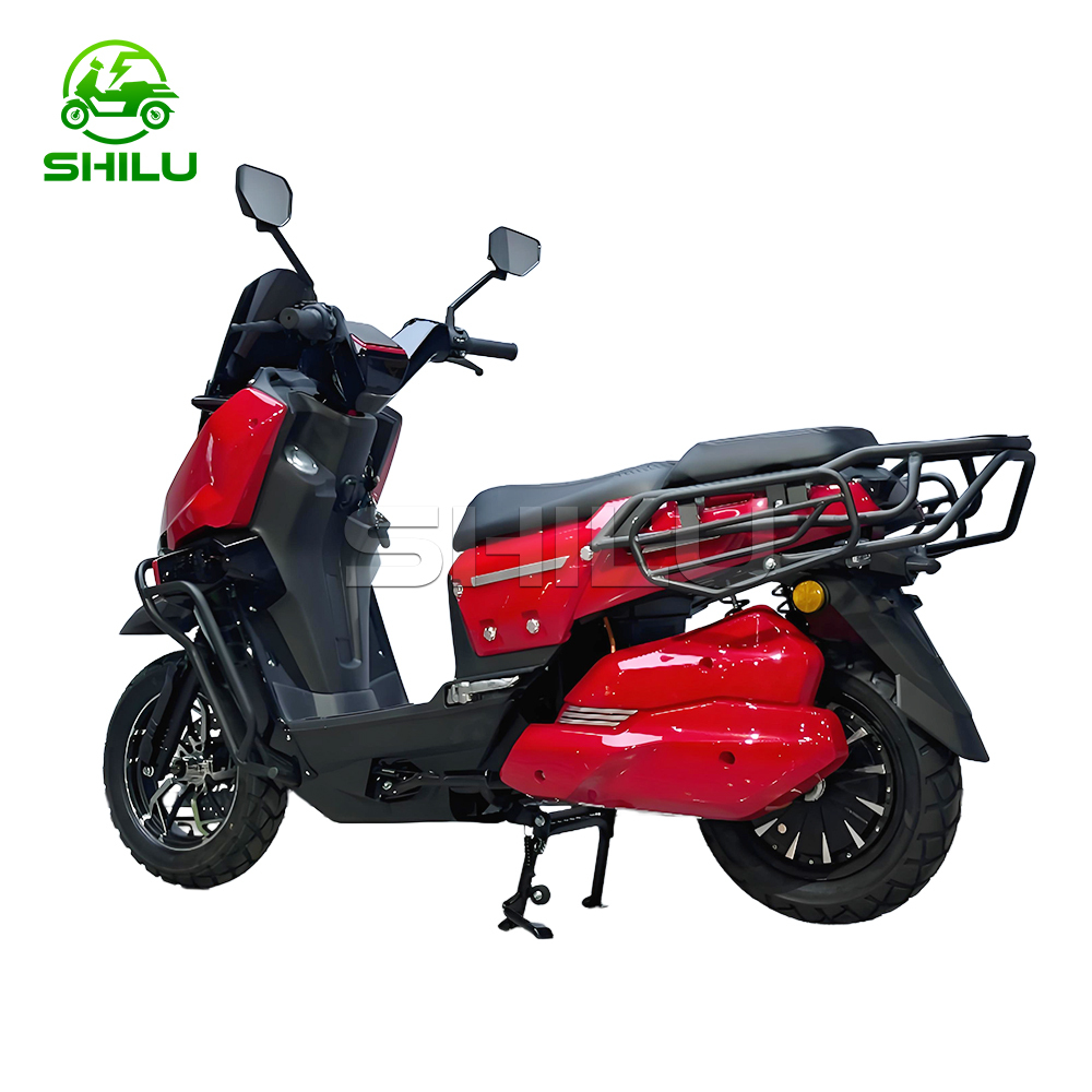 WS High Speed Electric Motorcycle