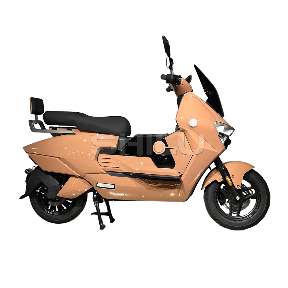 SZZ Electric Scooter