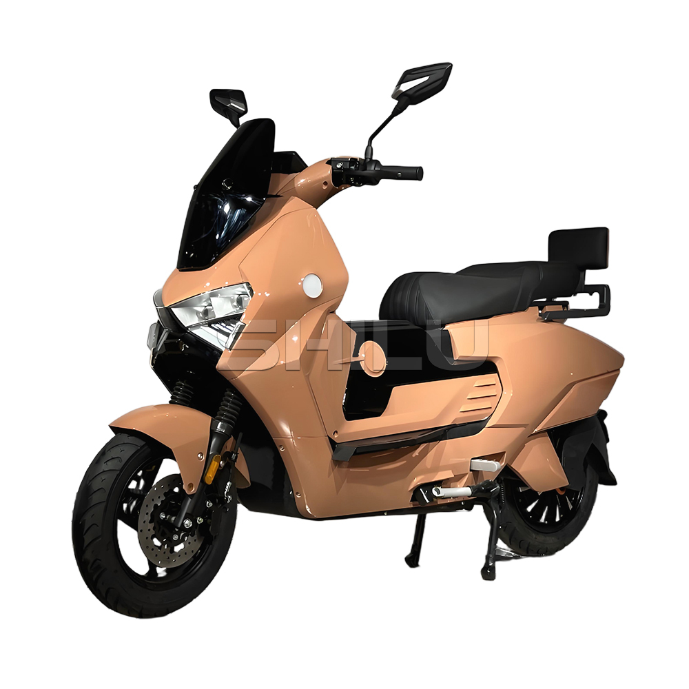 SZZ Electric Scooter