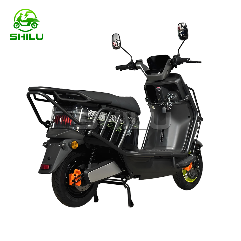 LS Electric Scooter