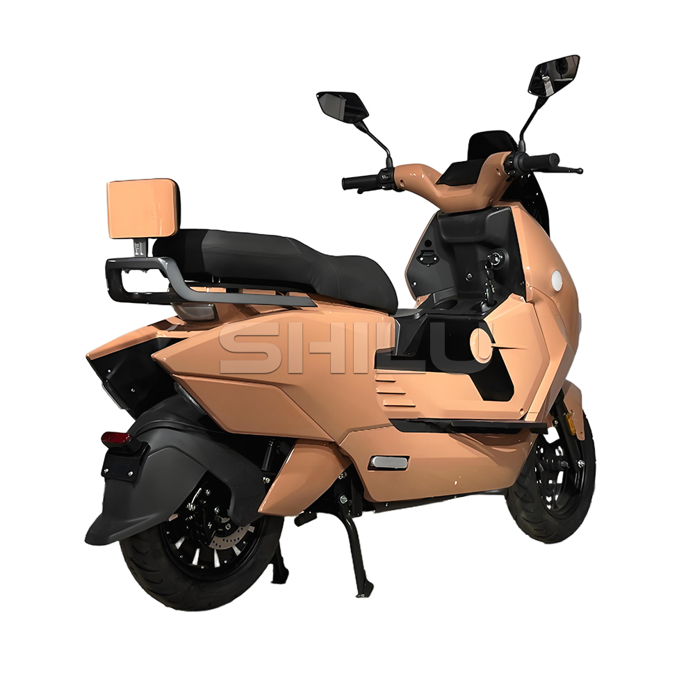 SZZ Electric Scooter