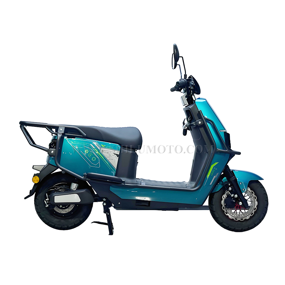 Q1 Electric Scooter