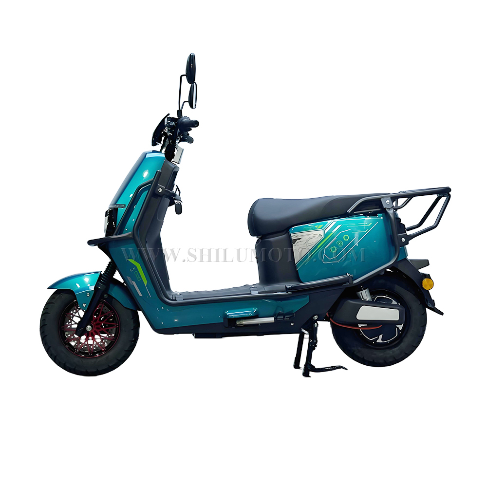 Q1 Electric Scooter