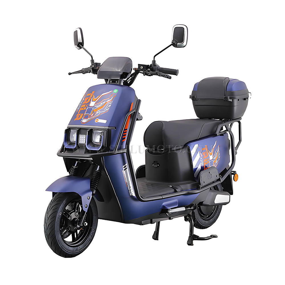 Q1 Electric Scooter