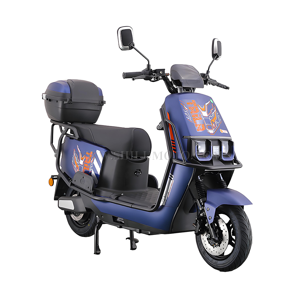 Q1 Electric Scooter