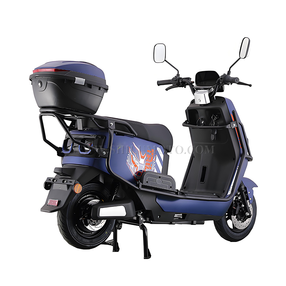 Q1 Electric Scooter