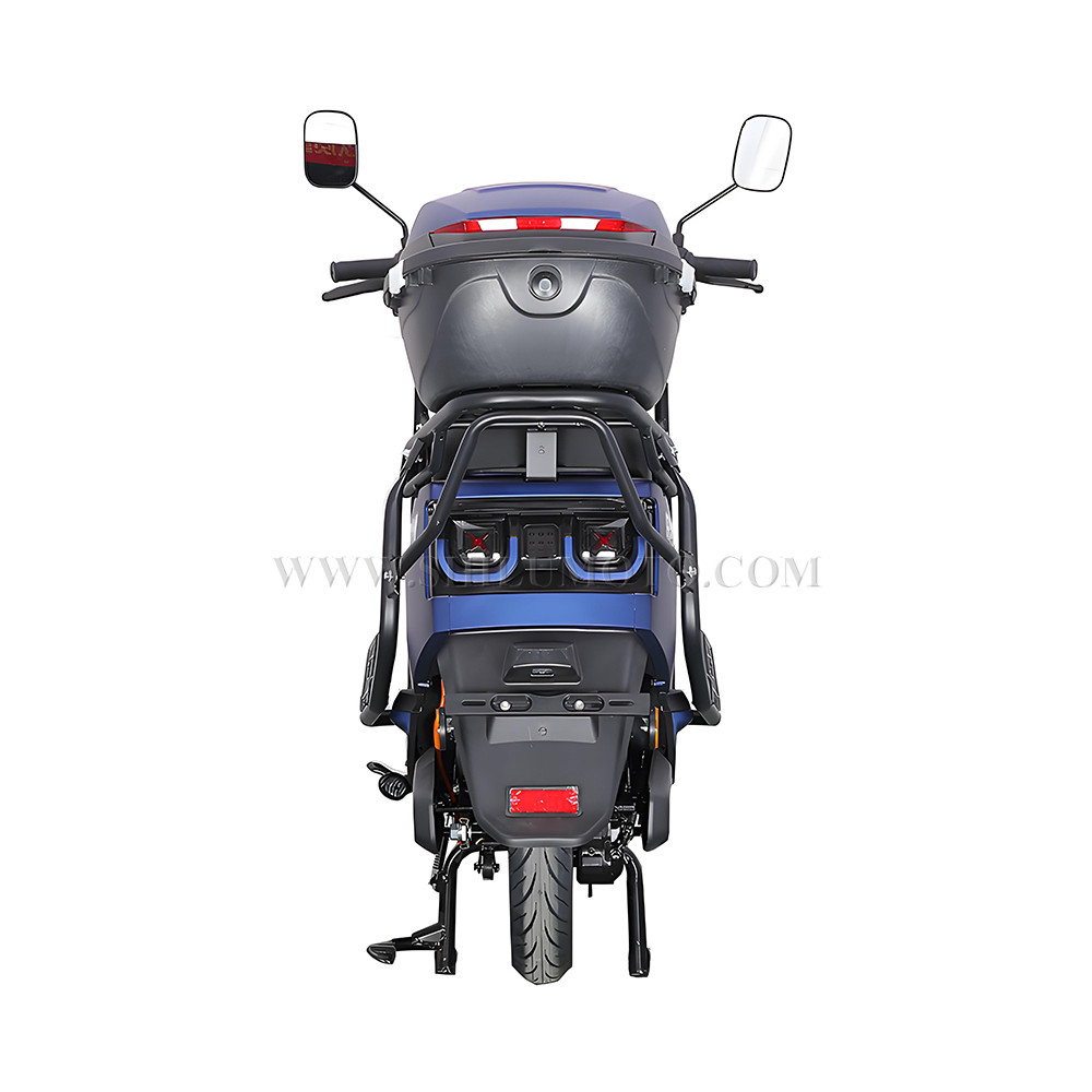 Q1 Electric Scooter