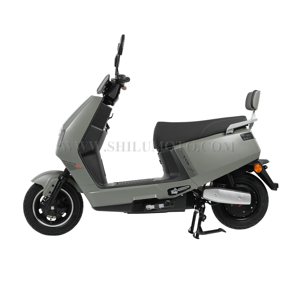 DL 1000W Electric Scooter