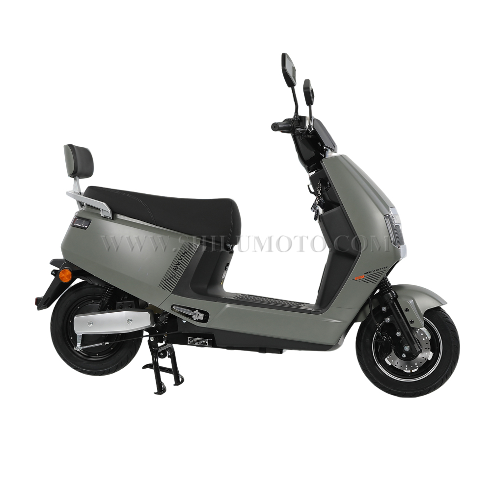DL 1000W Electric Scooter