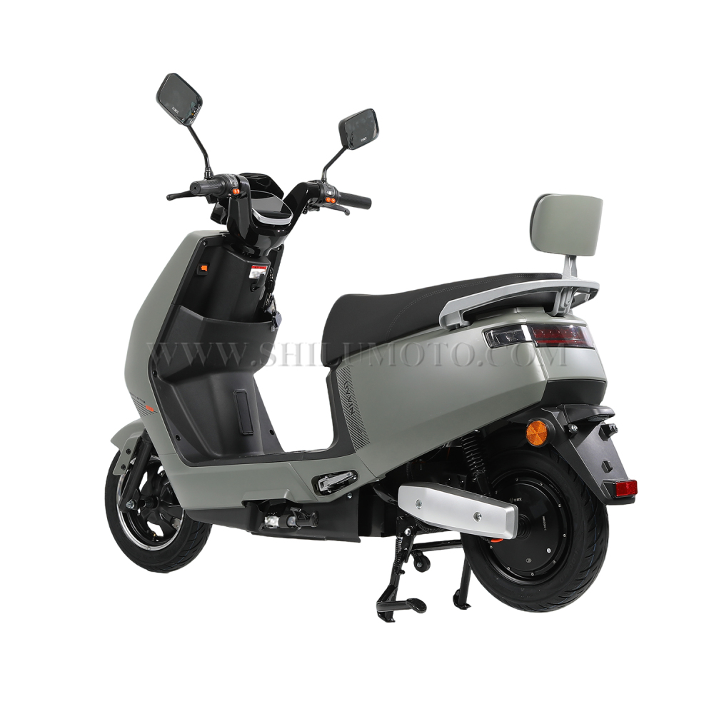 DL 1000W Electric Scooter