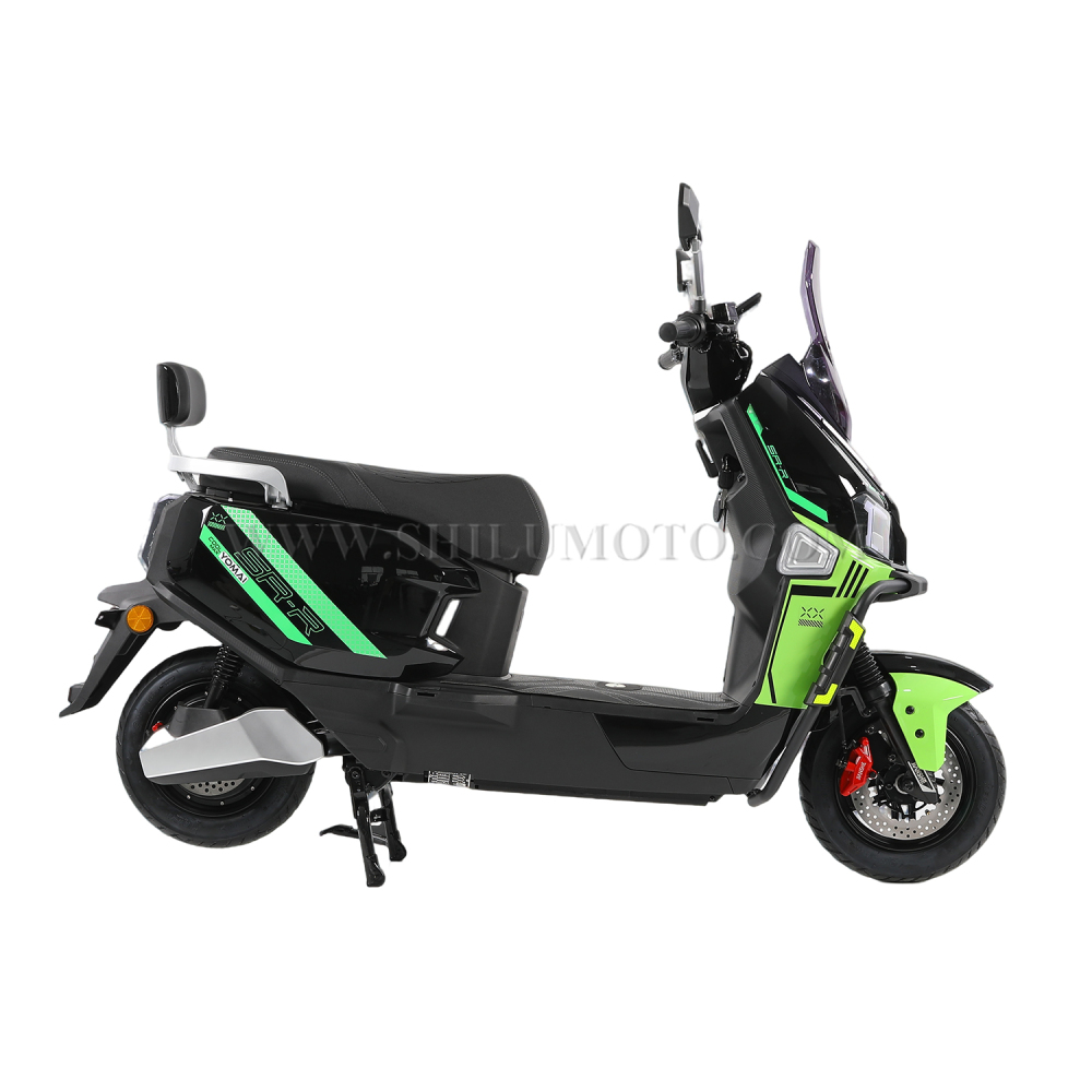 FS Electric Scooter