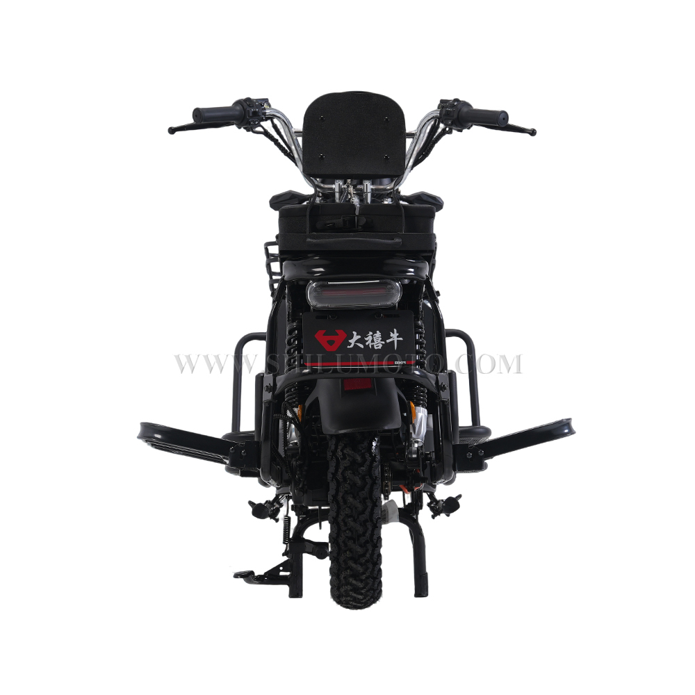 DXN3 OEM Electric Load Scooter Factory