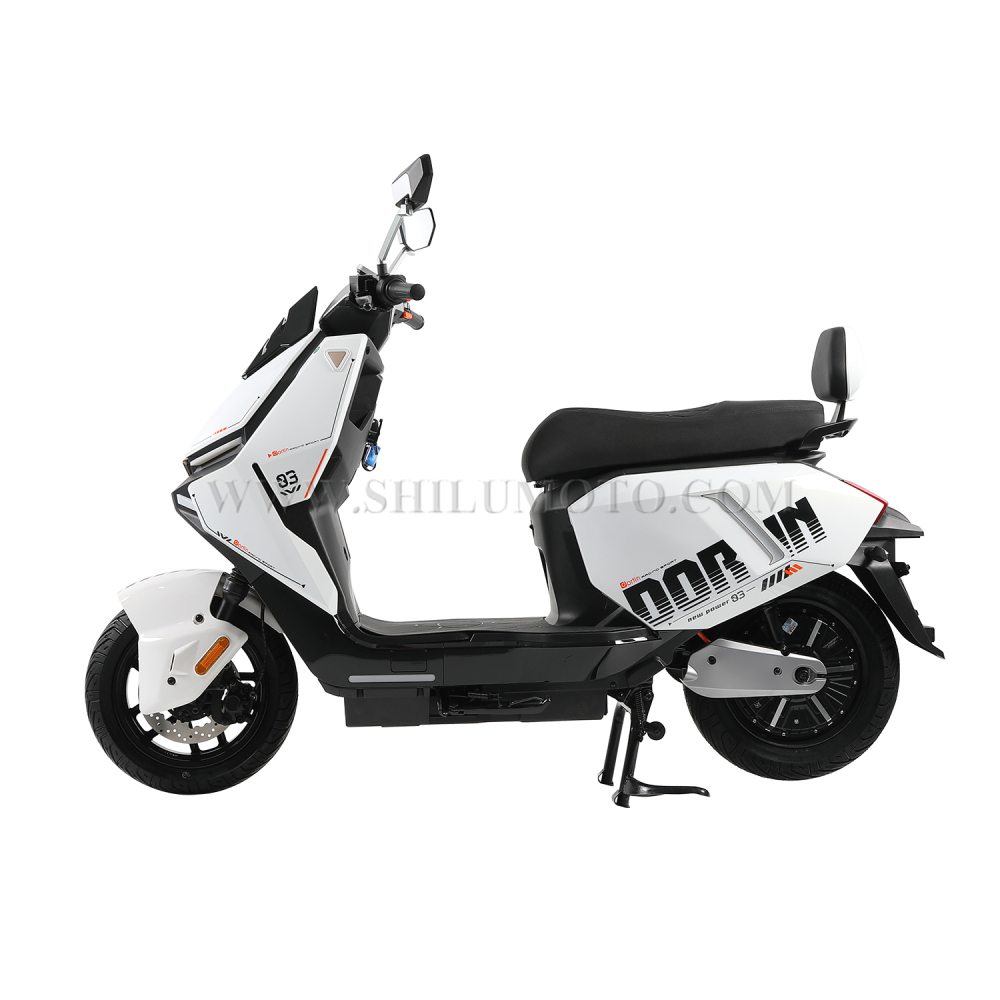 FX Custom Electric Scooter – Speed, Design & Configuration Customization