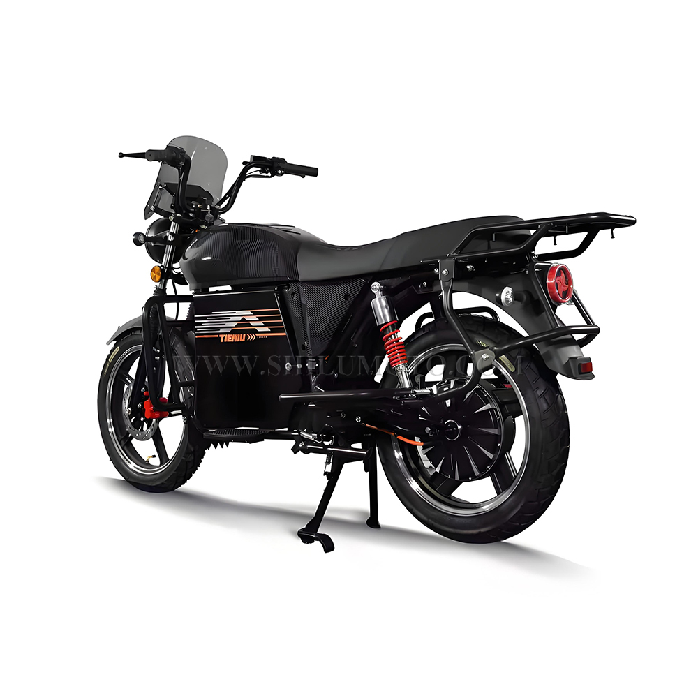 TIENIU Electric Cargo Motorcycle for Wholesale