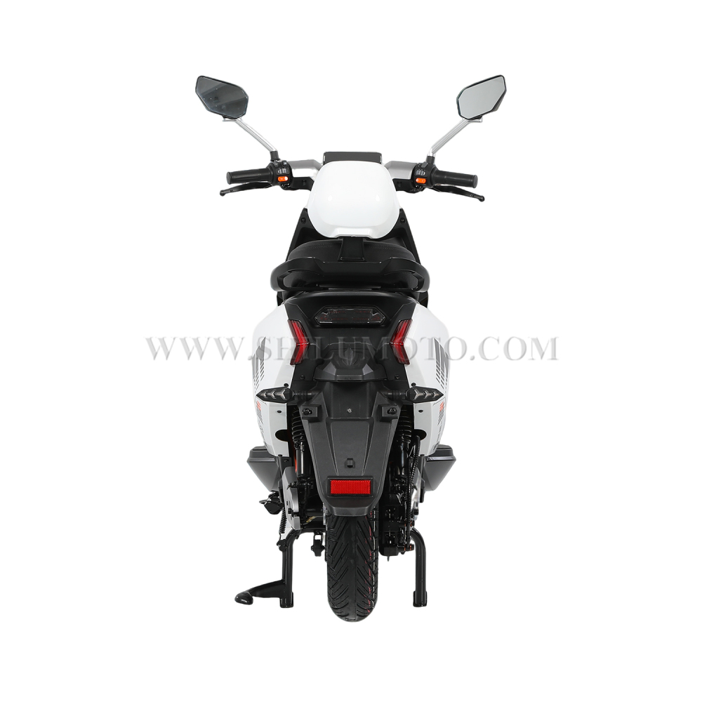 FX Custom Electric Scooter – Speed, Design & Configuration Customization