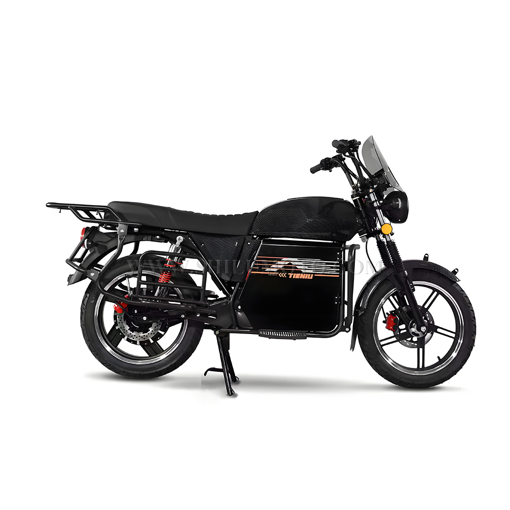 TIENIU Electric Cargo Motorcycle for Wholesale