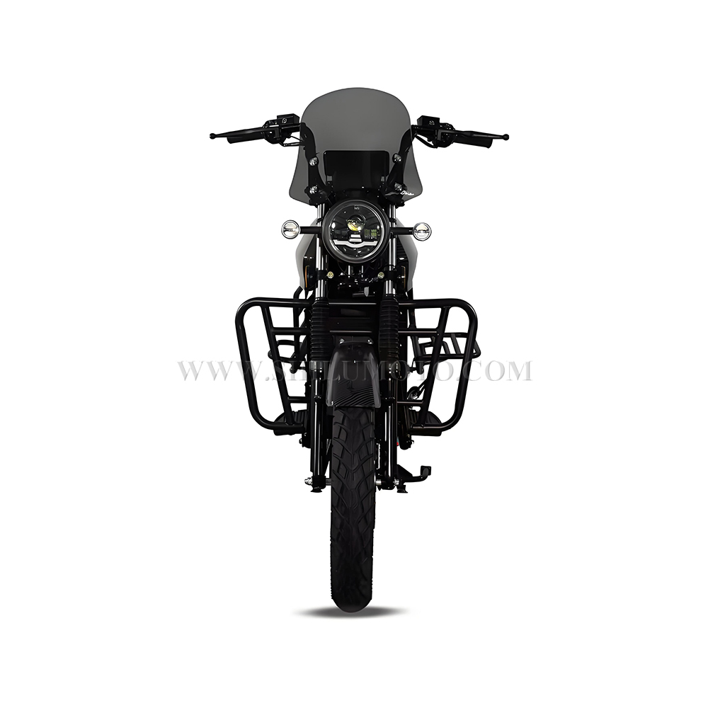 TIENIU Electric Cargo Motorcycle for Wholesale