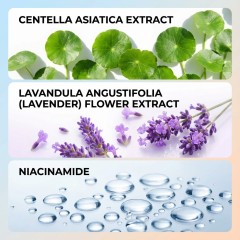 Chart highlighting key ingredients: 19% Zinc Oxide, Niacinamide, and Centella Asiatica in Balry's soothing sunscreen formula.