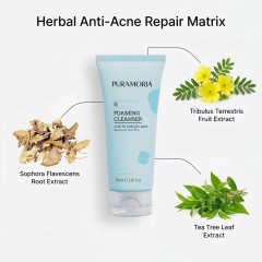 PURAMORIA Salicylic Acid BHA Foaming Cleanser - Acne & Oil Control Face Wash