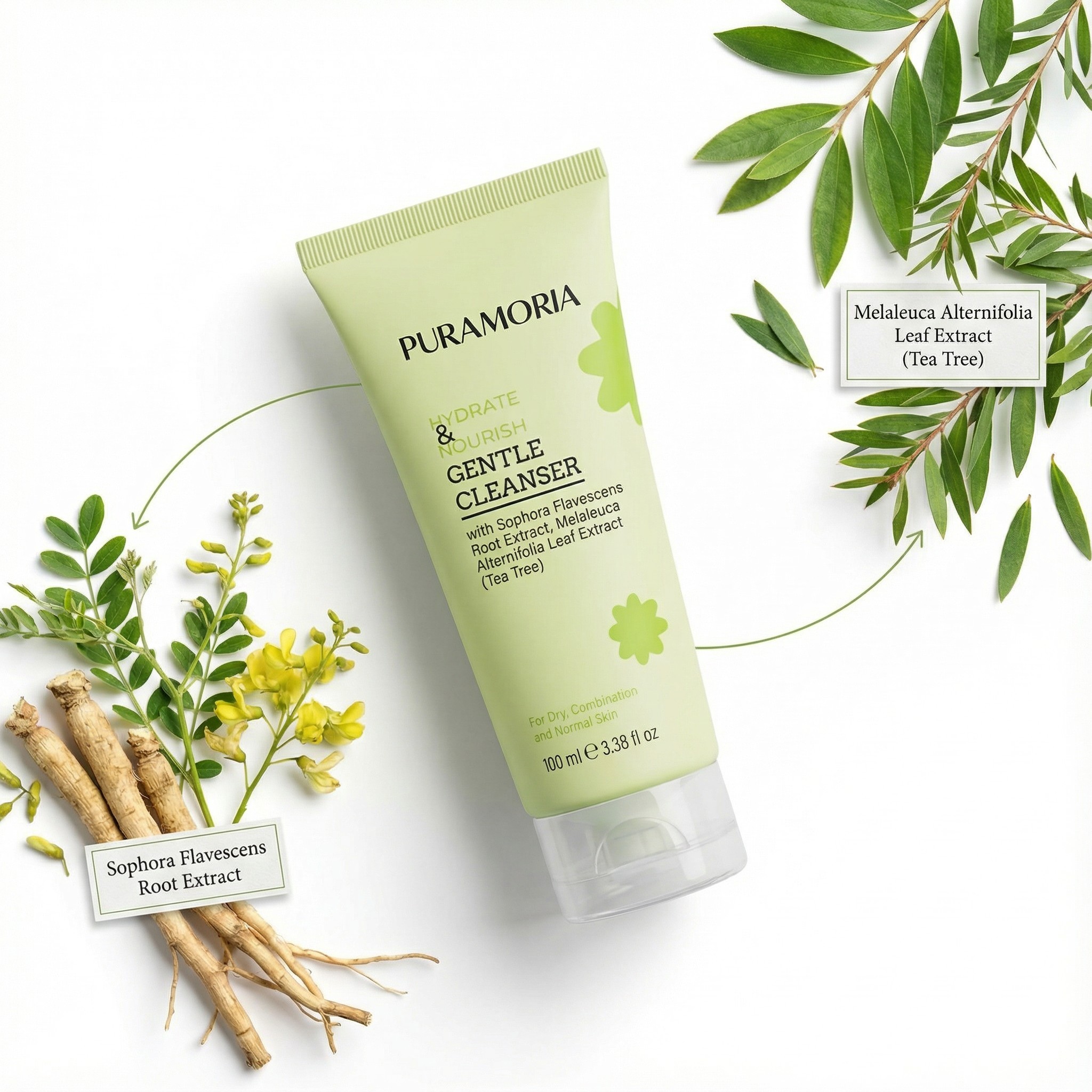 Flat lay visual of PURAMORIA Hydrate & Nourish Gentle Cleanser surrounded by actual purifying Sophora Flavescens Root extract and Melaleuca Alternifolia (Tea Tree) leaves. Focuses on natural, purifying face wash properties.
