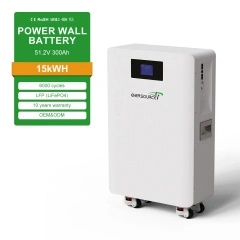 Enersource 15kWh 48V 300Ah LiFePO4 Solar Battery System with MPPT Controller for Home Use