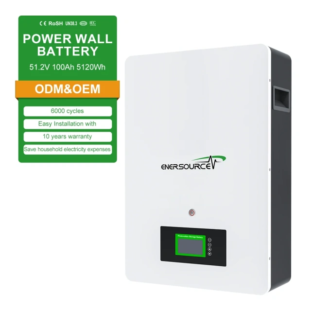Enersource 48V/51.2V 200Ah 10kWh LiFePO4 Wall-Mounted Battery for Solar Systems with CAN