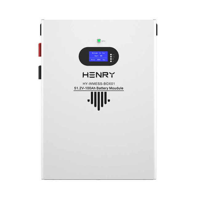 EU Stock LiFePO4 Battery Module 51.2V 100Ah Solar Home Energy Storage System HENRY