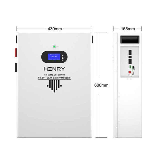 EU Stock LiFePO4 Battery Module 51.2V 100Ah Solar Home Energy Storage System HENRY