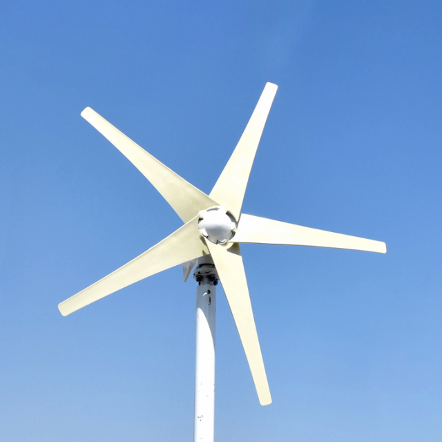 Small Wind Turbine 500W 800W 1000W 12V 24V 48V with 5 Blades MPPT Charge Controller Household Renewable Energy System elege