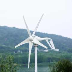 Small Wind Turbine 500W 800W 1000W 12V 24V 48V with 5 Blades MPPT Charge Controller Household Renewable Energy System elege