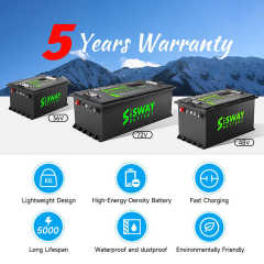 48V Golf Cart Battery Deep Cycle LiFePO4 51.2V 105Ah 5376Wh Custom Lithium Ion Golf Cart Battery Pack SISWAY